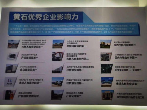 黃石首個(gè)科技中介服務(wù)盛會(huì)武漢開幕，搭建區(qū)域科創(chuàng)資源對(duì)接平臺(tái)